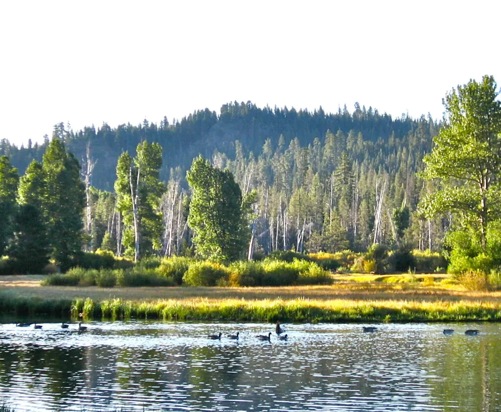 Waterbody in the Sierra Nevada