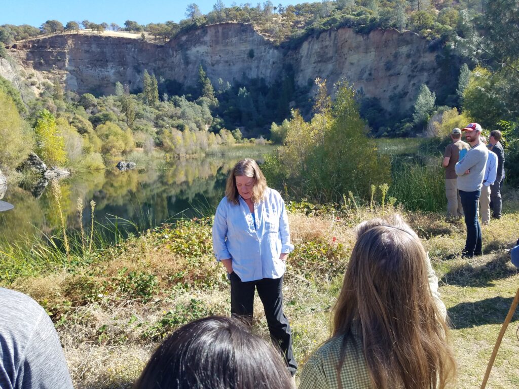 Released Due Diligence in the Sierra Nevada Gold Country Report